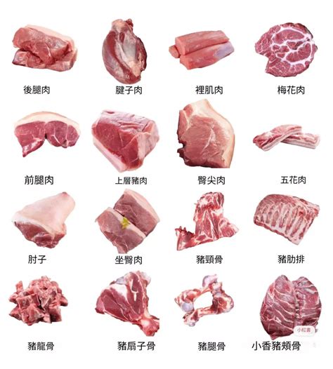 豬肉屬性|豬肉